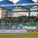 Hradec Králové - Bohemians 0:2 (0:2)