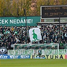 Bohemians - Zlín 3:2 (0:2)