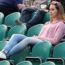 DĚNÍ NA TRIBUNÁCH: Bohemians - Slavia