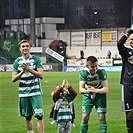 Dění na tribunách, Bohemians - Olomouc, Mol Cup 2019