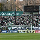 Bohemians - Mladá Boleslav 4:0 (1:0)