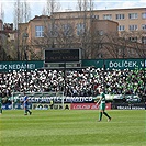 Bohemians - Mladá Boleslav 4:0 (1:0)