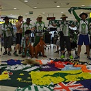 Klokani přiletěli z Austrálie