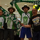 Klokani přiletěli z Austrálie