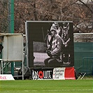 Bohemians - Brno 1:1 (0:0)