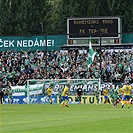 Bohemians - Teplice 4:2 (2:1)