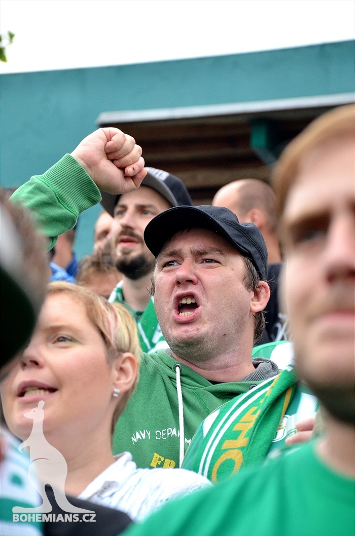 DĚNÍ NA TRIBUNÁCH: Bohemians - Hradec