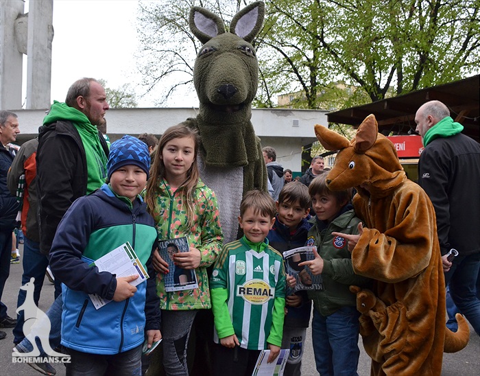Dění na tribunách: Bohemians - Jihlava