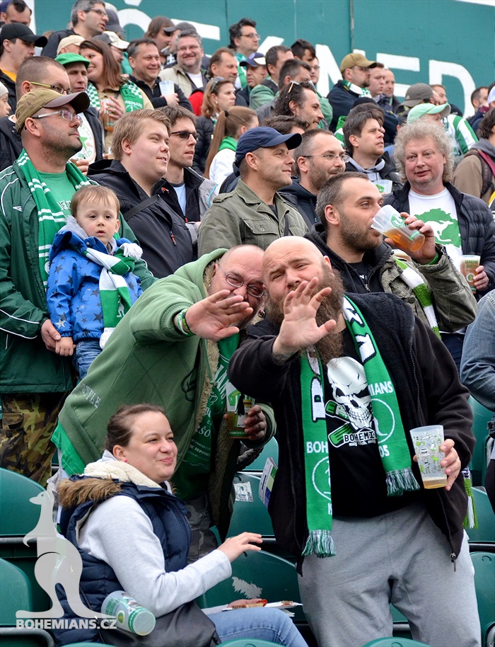 Dění na tribunách: Bohemians - Jihlava