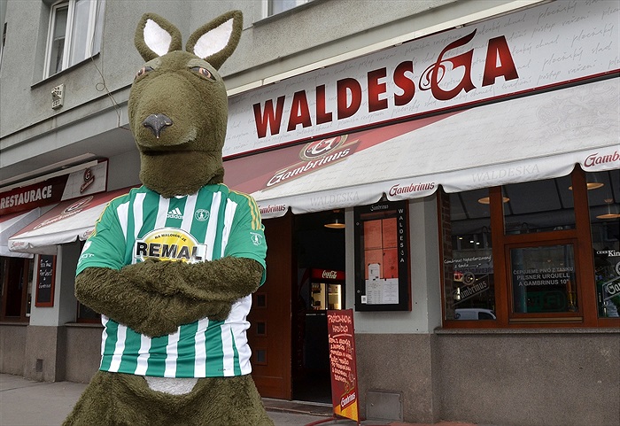 Klokan zval fanoušky ve Vršovicích na fotbal