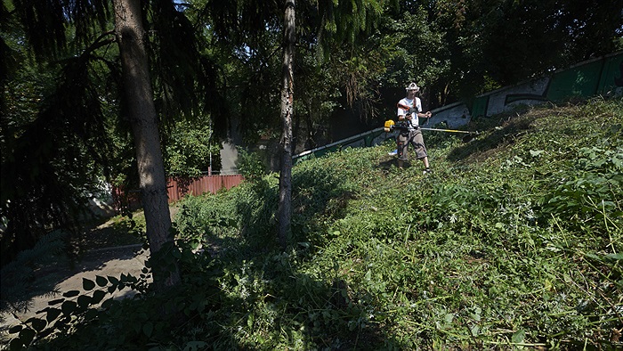 Brigáda v Ďolíčku