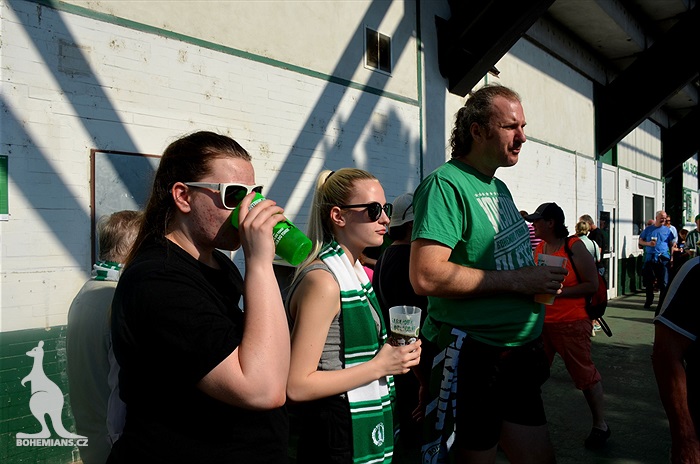 Dění na tribunách Bohemians - Jihlava 1:1