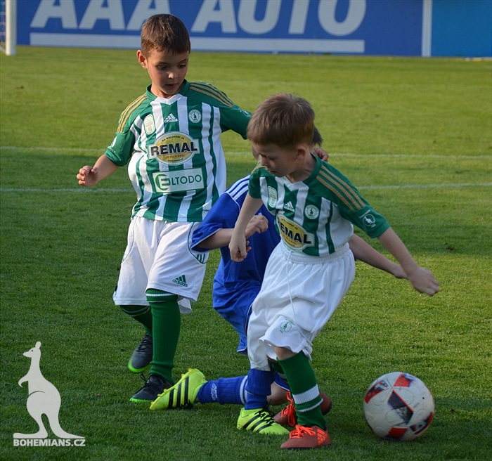 Dění na tribunách Bohemians - Jihlava 1:1