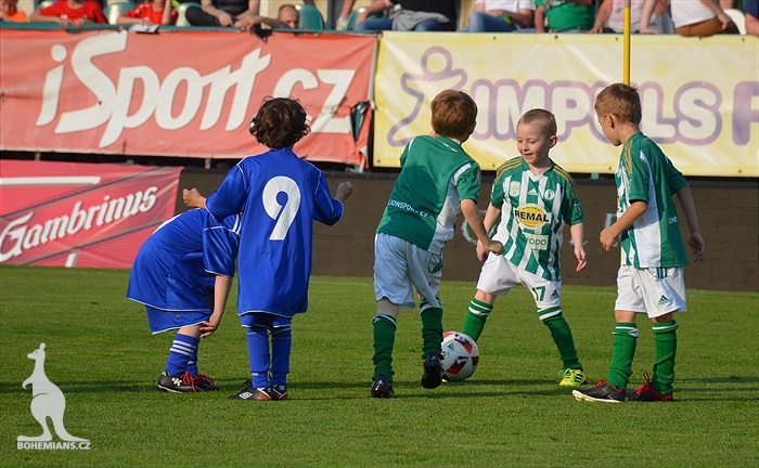 Dění na tribunách Bohemians - Jihlava 1:1