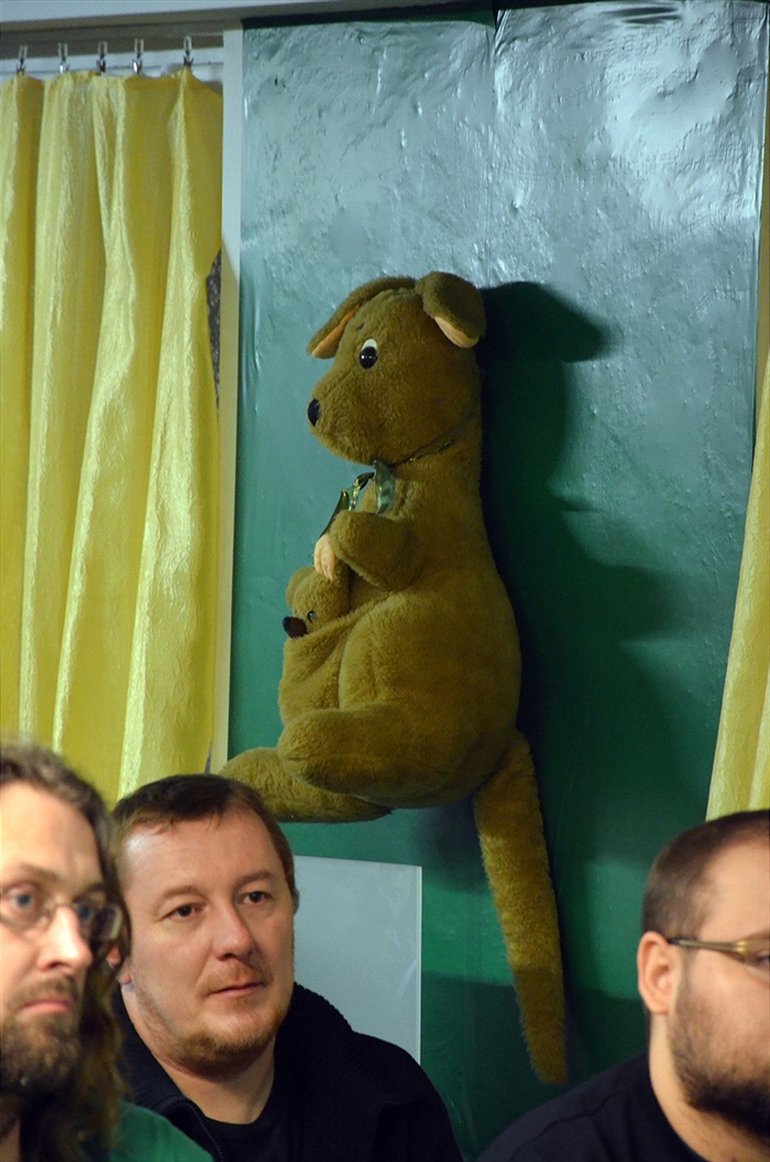 Pergola DFB únor 2016