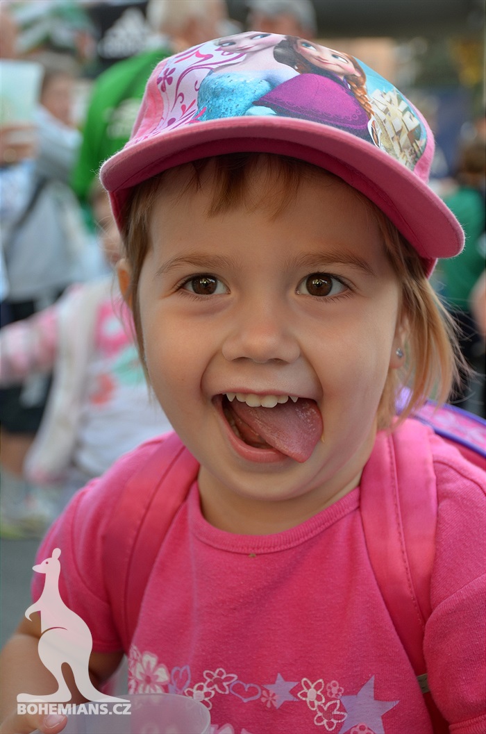 DĚNÍ NA TRIBUNÁCH: Bohemians - Příbram