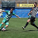 Admira - Bohemians 1:2 (0:1)