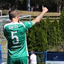 Admira - Bohemians 1:2 (0:1)