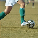 Bohemians Praha 1905 - FK Viktoria Žižkov 1:1 (1:1)