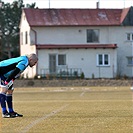 Bohemians Praha 1905 - FK Viktoria Žižkov 1:1 (1:1)