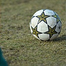 Bohemians Praha 1905 - FK Viktoria Žižkov 1:1 (1:1)