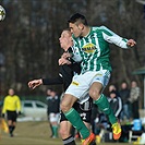 Bohemians Praha 1905 - FK Viktoria Žižkov 1:1 (1:1)