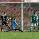 Bohemians Praha 1905 - 1.FK Příbram 0:3 (0:0)