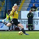 FC Slovan Liberec - Bohemians Praha 1905 1:1 (1:0)