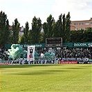 Bohemians - Plzeň 1:2 (1:0)