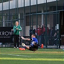 SK Rapid Vídeň - Bohemians Praha 1905 2:2 (0:1)