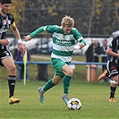 Bohemians B - České Budějovice B 1:0 (0:0)