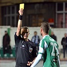 Bohemians Praha 1905 - FK Mladá Boleslav 1:1 (0:1)