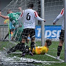 Žižkov - Bohemians 1:3 (1:1)