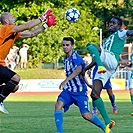 Jiskra Domažlice - Bohemians Praha 1905 2:1 (1:1)