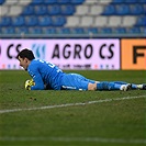 Hradec Králové - Bohemians 0:2 (0:2)