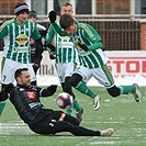 Bohemians Praha 1905 - FC Hradec Králové 3:0 (2:0)