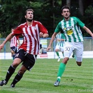 Bohemians 1905 - Viktoria Žižkov 4:2 (4:1)