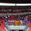 Bohemians 1905 - Viktoria Plzeň 2:1 (1:1)