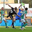 Bohemians Praha 1905 - SK Dynamo České Budějovice 2:0 (2:0)