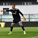 Bohemians - Mladá Boleslav 2:1 (1:0)