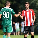 Bohemians - Viktoria ŽIžkov 2:0 (0:0)