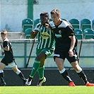 Bohemians Praha 1905 - FC Viktoria Plzeň 1:0 (1:0)