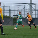 FK Oleksandrija - Bohemians Praha 1905 1:1 (0:0)