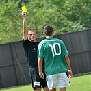 Bohemians Praha 1905 - FK Viktoria Plzeň 4:4 (2:3)