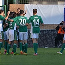 Bohemians Praha 1905 - FK Mladá Boleslav 1:1 (1:1) 