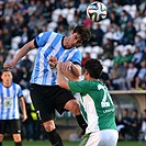 Bohemians Praha 1905 - FK Mladá Boleslav 1:1 (1:1) 