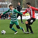 Bohemians Praha 1905 - FK Viktoria Žižkov 2:0 (2:0)