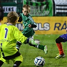 Bohemians Praha 1905 - FK Teplice 3:1 (1:1)