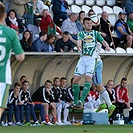 Bohemians Praha 1905 - FK Mladá Boleslav 2:0 (1:0)