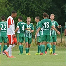 Hallescher - Bohemians 2:2 (0:1)